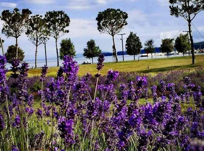 Happy Casa Oldtown Boutique * Koper